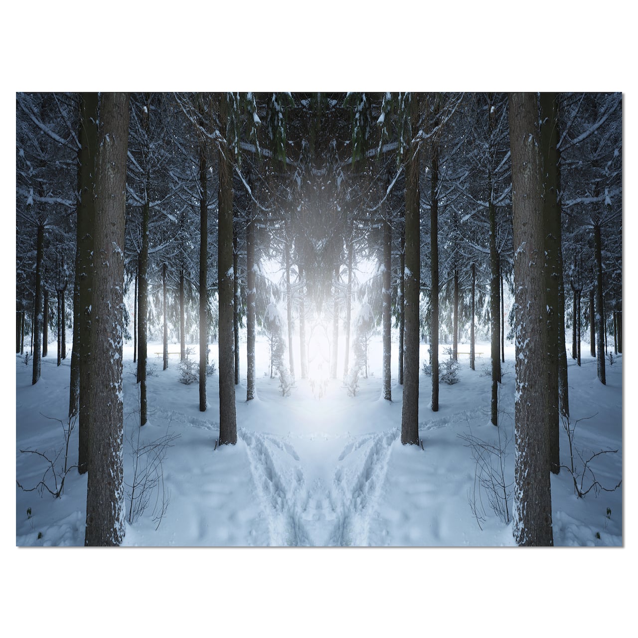 Designart - Winter Forest with Dark Woods - Landscape Canvas Art Print